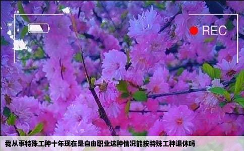 我从事特殊工种十年现在是自由职业这种情况能按特殊工种退休吗