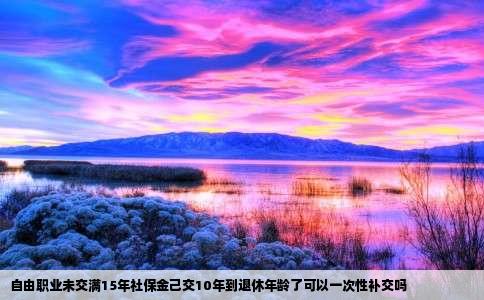 自由职业未交满15年社保金己交10年到退休年龄了可以一次性补交吗
