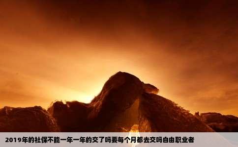 2019年的社保不能一年一年的交了吗要每个月都去交吗自由职业者