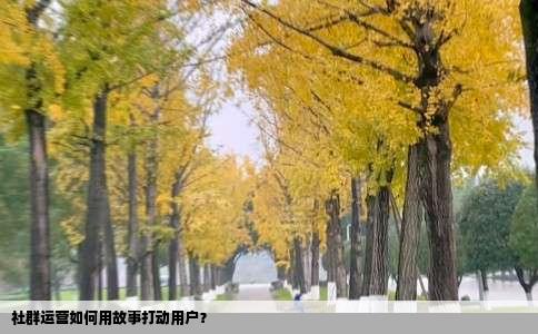 社群运营如何用故事打动用户？