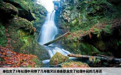 单位交了3年社保中问停了几年我又以自由职业交了社保中间的几年还