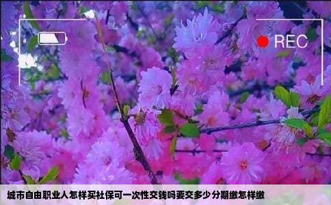 城市自由职业人怎样买社保可一次性交钱吗要交多少分期缴怎样缴