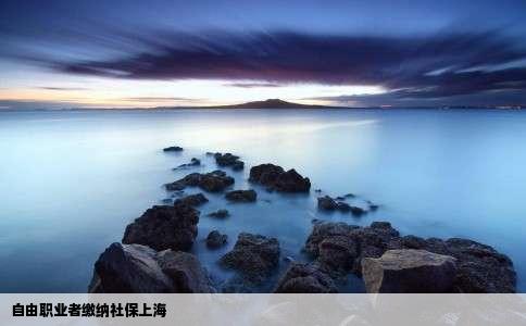 自由职业者缴纳社保上海