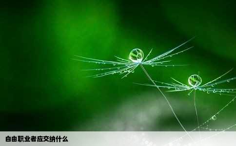 自由职业者应交纳什么