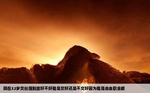 现在32岁交社保到底好不好我是交好还是不交好因为我是自由职业都