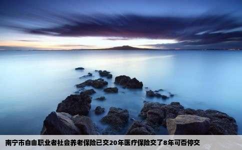 南宁市自由职业者社会养老保险已交20年医疗保险交了8年可否停交