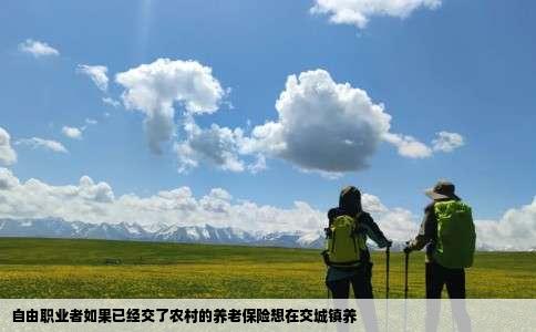 自由职业者如果已经交了农村的养老保险想在交城镇养