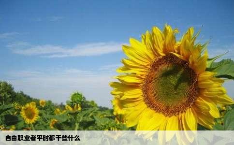 自由职业者平时都干些什么