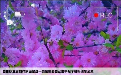 自由职业者如作家画家这一类是需要自己去申报个税吗该怎么交