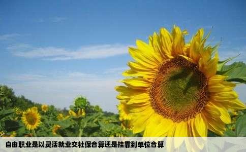 自由职业是以灵活就业交社保合算还是挂靠到单位合算