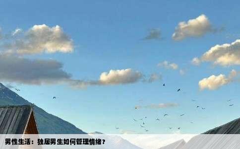 男性生活：独居男生如何管理情绪？