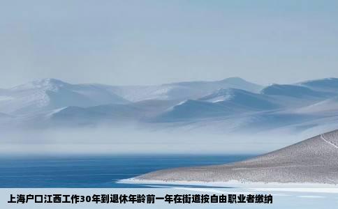 上海户口江西工作30年到退休年龄前一年在街道按自由职业者缴纳