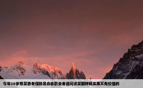 今年30岁想买养老保险是自由职业者请问该买那种既实惠又有价值的
