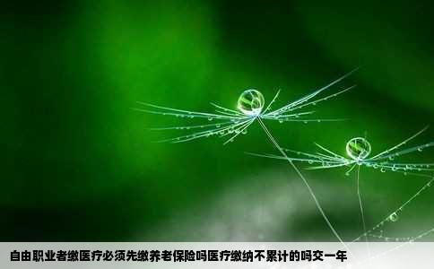 自由职业者缴医疗必须先缴养老保险吗医疗缴纳不累计的吗交一年