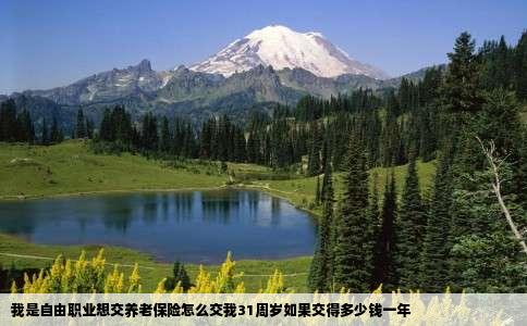 我是自由职业想交养老保险怎么交我31周岁如果交得多少钱一年
