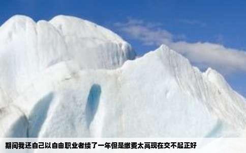 期间我还自己以自由职业者续了一年但是缴费太高现在交不起正好