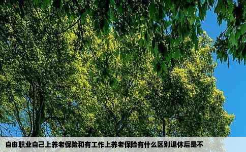 自由职业自己上养老保险和有工作上养老保险有什么区别退休后是不