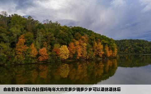 自由职业者可以办社保吗每年大约交多少钱多少岁可以退休退休后