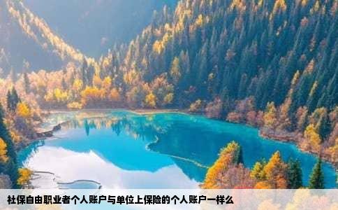 社保自由职业者个人账户与单位上保险的个人账户一样么