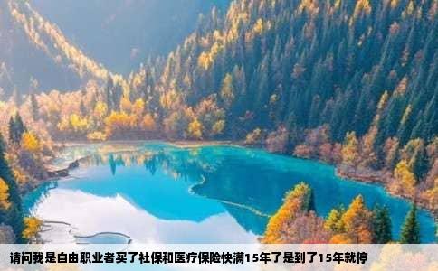 请问我是自由职业者买了社保和医疗保险快满15年了是到了15年就停