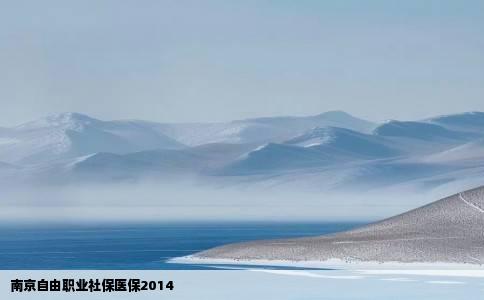 南京自由职业社保医保2014