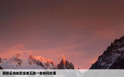 辞职后自由职业者五险一金如何处理