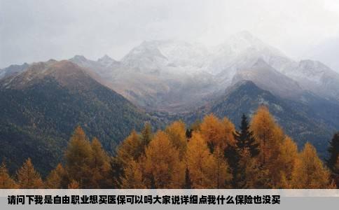 请问下我是自由职业想买医保可以吗大家说详细点我什么保险也没买