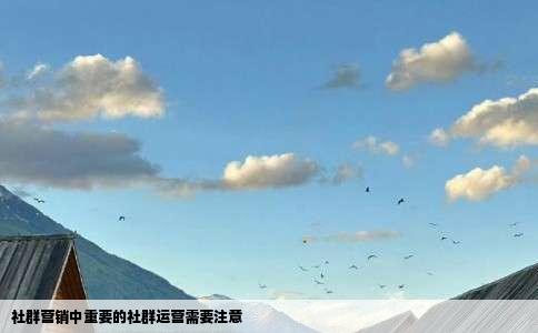 社群营销中重要的社群运营需要注意