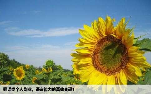 翻译类个人副业，语言能力的高效变现？