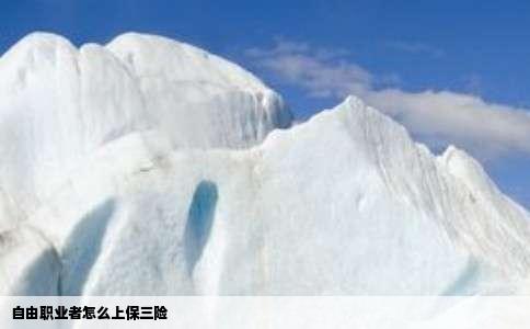 自由职业者怎么上保三险