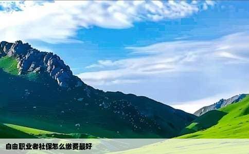 自由职业者社保怎么缴费最好