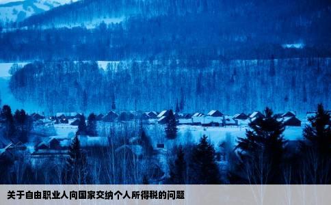 关于自由职业人向国家交纳个人所得税的问题