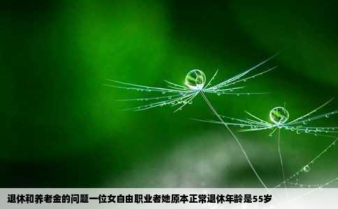 退休和养老金的问题一位女自由职业者她原本正常退休年龄是55岁