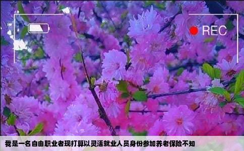 我是一名自由职业者现打算以灵活就业人员身份参加养老保险不知