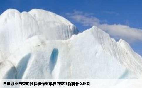 自由职业自交的社保和代缴单位的交社保有什么区别
