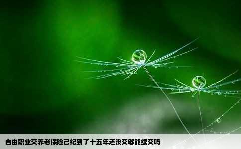 自由职业交养老保险己纪到了十五年还没交够能续交吗