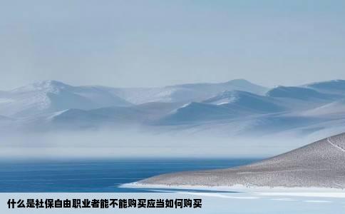 什么是社保自由职业者能不能购买应当如何购买