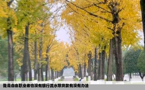 我是自由职业者也没有银行流水想贷款有没有办法
