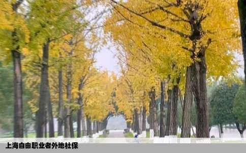 上海自由职业者外地社保