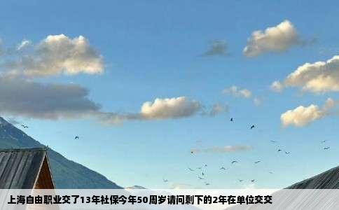 上海自由职业交了13年社保今年50周岁请问剩下的2年在单位交交