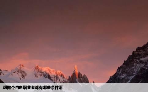 想做个自由职业者都有哪些条件啊