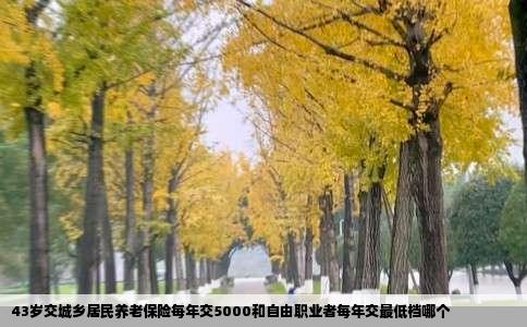 43岁交城乡居民养老保险每年交5000和自由职业者每年交最低档哪个