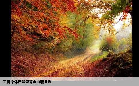 工商个体户是否算自由职业者