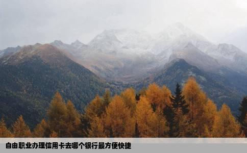 自由职业办理信用卡去哪个银行最方便快捷