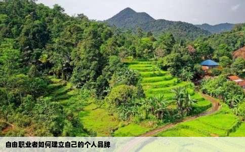 自由职业者如何建立自己的个人品牌