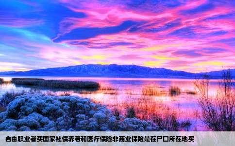 自由职业者买国家社保养老和医疗保险非商业保险是在户口所在地买
