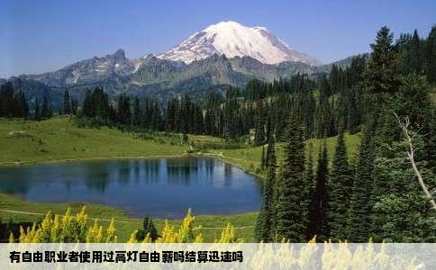 有自由职业者使用过高灯自由薪吗结算迅速吗