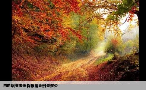 自由职业者医保报销比例是多少