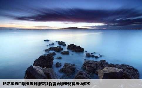 哈尔滨自由职业者到哪交社保需要哪些材料电话多少