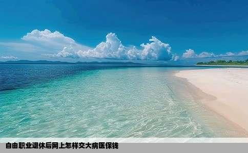 自由职业退休后网上怎样交大病医保钱